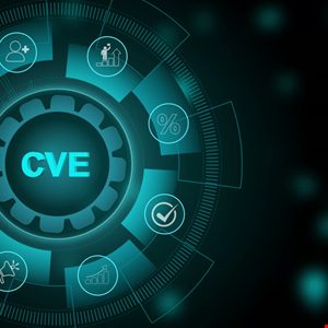 CISA Charts New “Quality Era” for Global CVE Program
