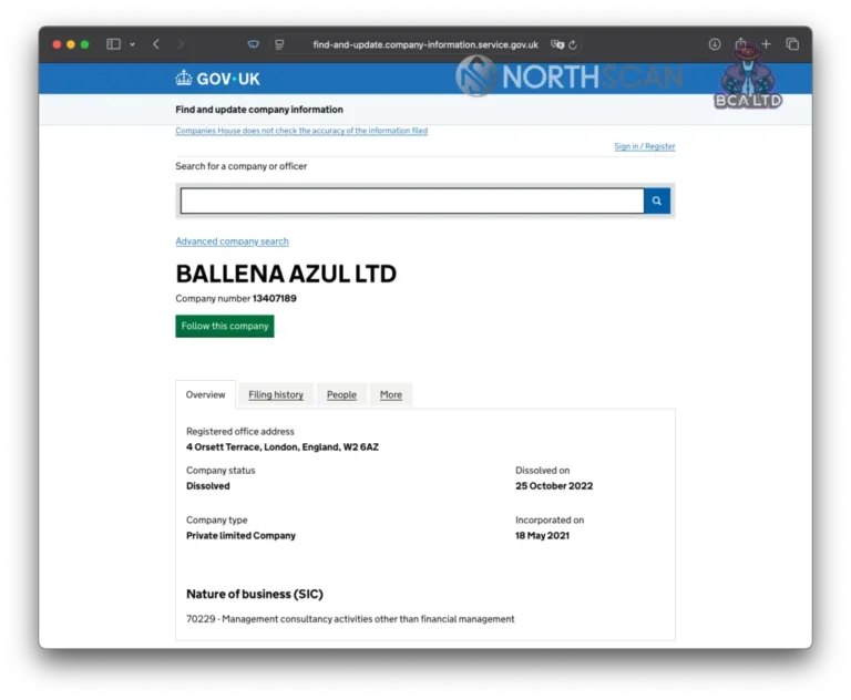 Ballena-Azul-LTD-registration-in-the-UK-1024x842-1