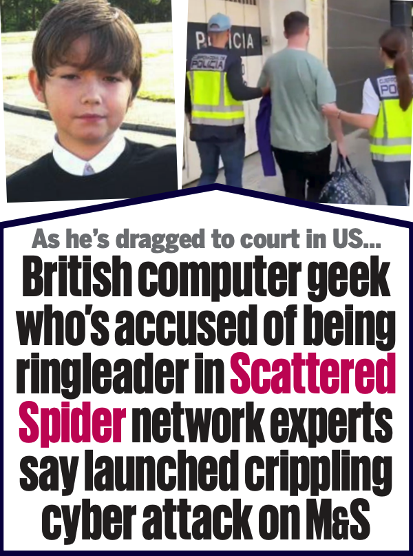 dailymail-tylerb